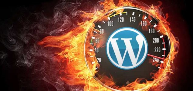 WordPress Hız Optimizesi Nasıl Yapılır?