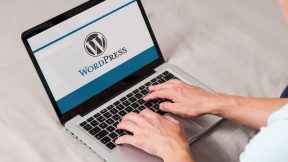 Tek Tıkla 5 Dakikada WordPress Kurulumu (Resimli Anlatım)